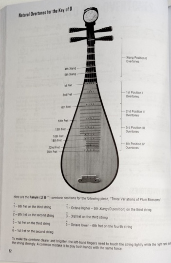 Diagram showing the frets